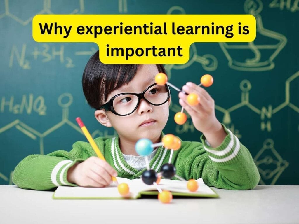 Why experiential learning is important - Vidhyanjali Academy School