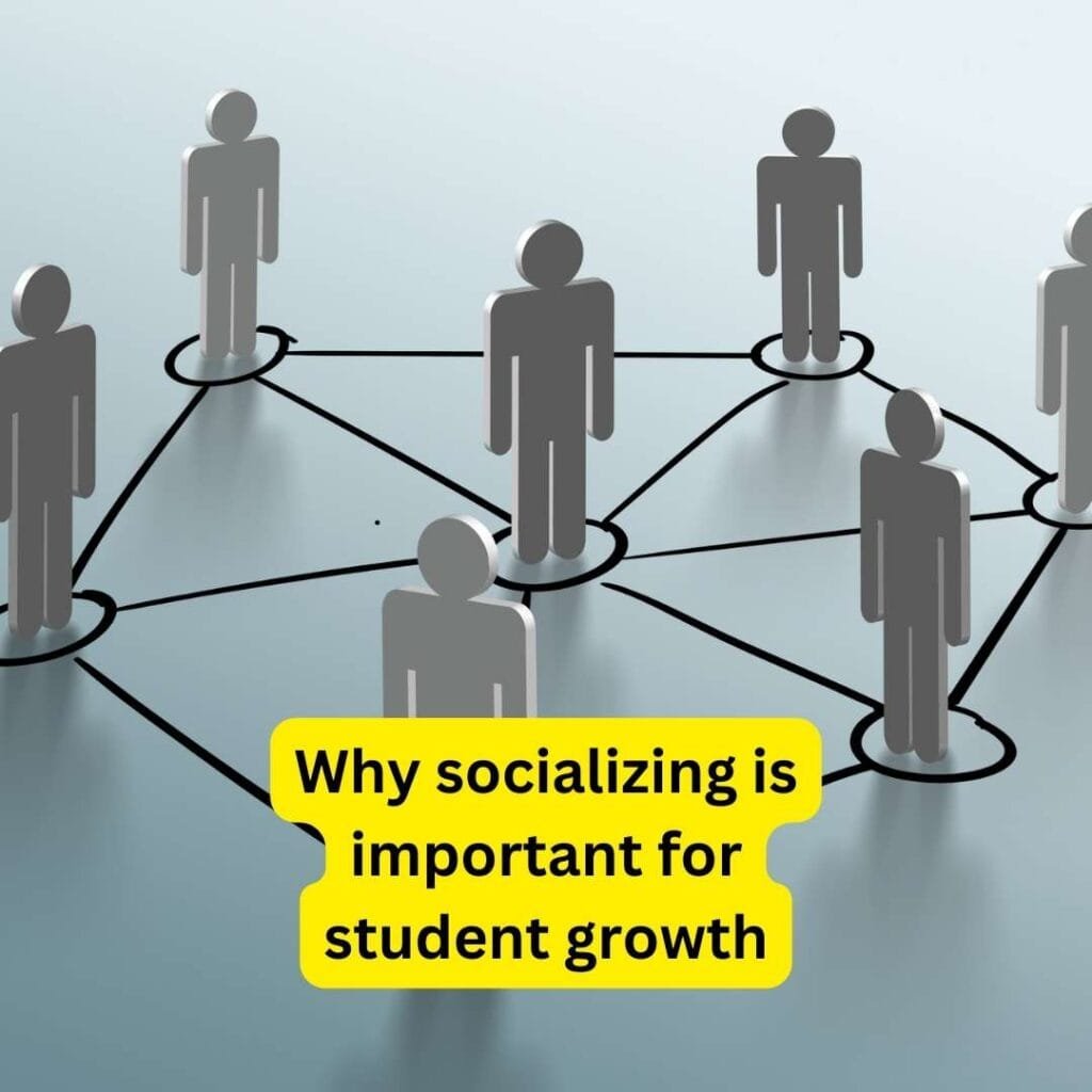 Scializing Why socializing is important for student growth - Vidhyanjali Academy ...